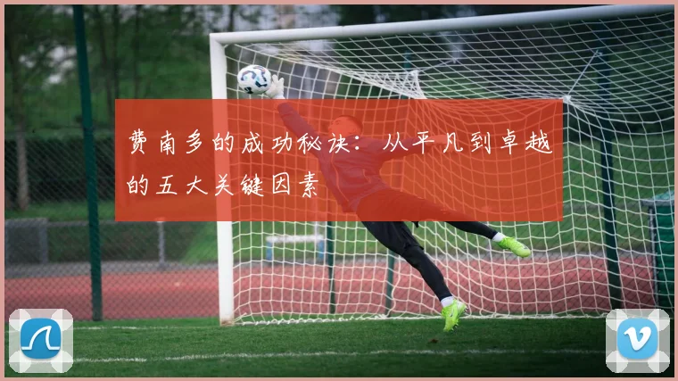 费南多的成功秘诀：从平凡到卓越的五大关键因素